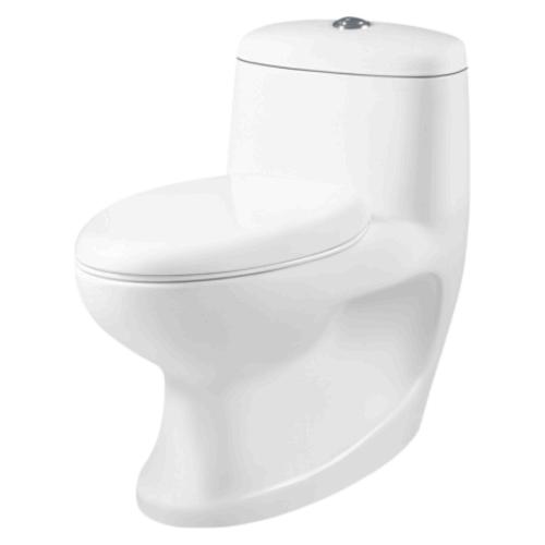 One Piece Closet(Wash Down) Dual Flush Fittings And Soft Closing Seat Cover White/Ivory