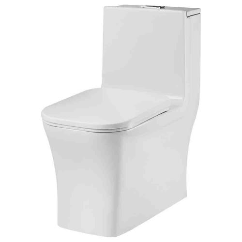 One Piece Closet(Wash Down) Dual Flush Fittings And Soft Closing Seat Cover White