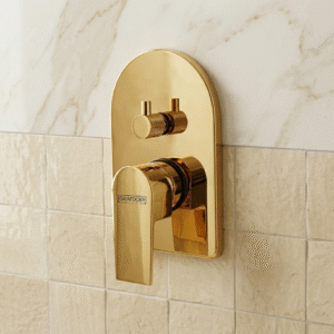 Single Lever Concealed Mixer & Diverter