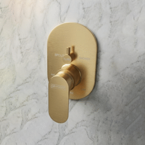 Single Lever Concealed Mixer & Diverter