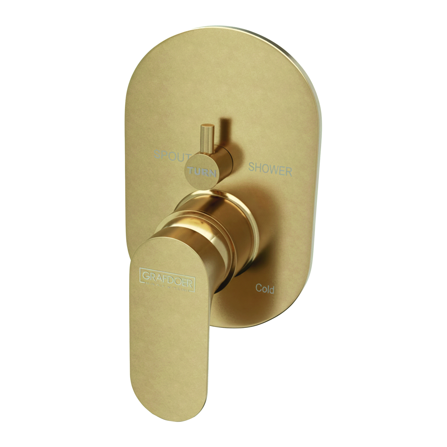 Single Lever Concealed Mixer & Diverter
